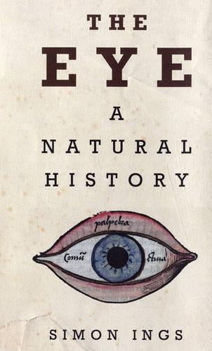 The Eye