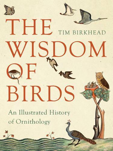 The Wisdom of Birds