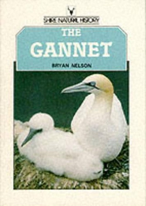 The Gannet