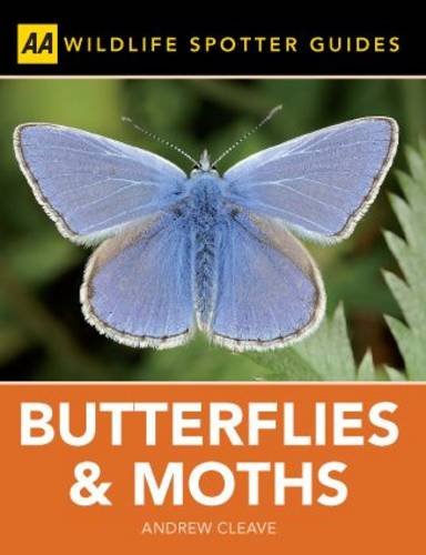 Butterflies and Moths