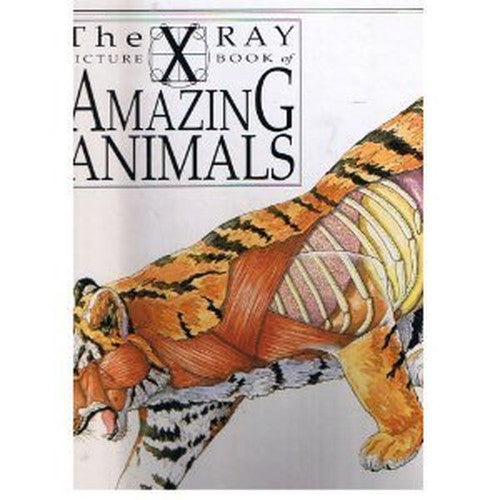 X Ray Picture Book of Amazing Animals
