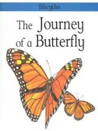 The Journey of a Butterfly
