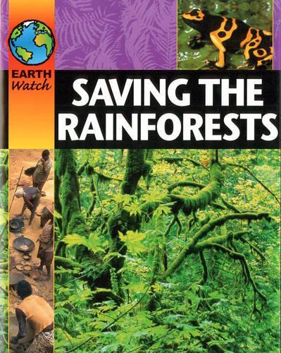 Saving the Rainforest