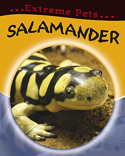 Salamander
