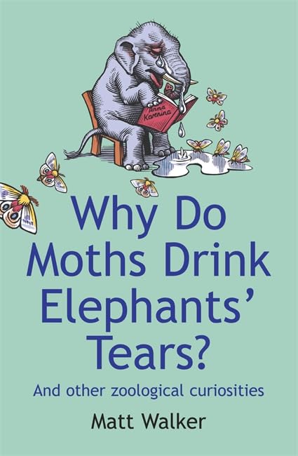 Why Do Moths Drink Elephants' Tears?