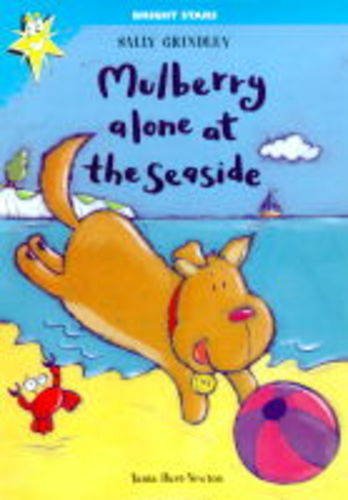 Mulberry Alone At The Seaside