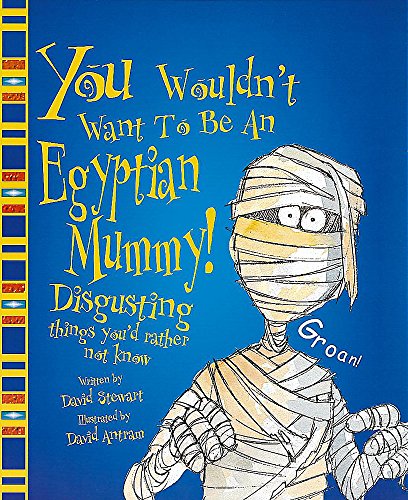 An Egyptian Mummy