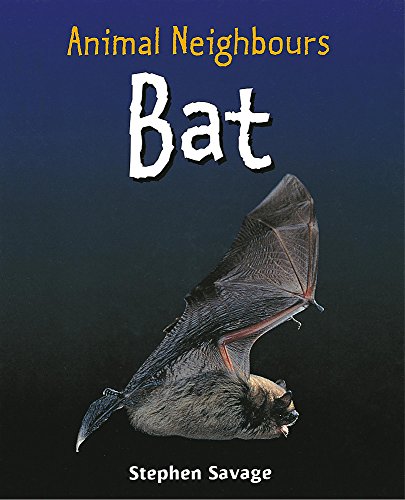 British Animals: Bat
