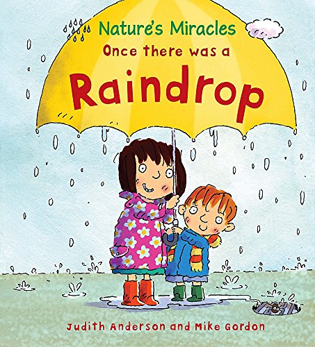 Once there was a Raindrop