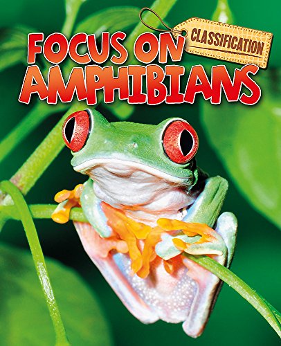 Classification: Focus on: Amphibians