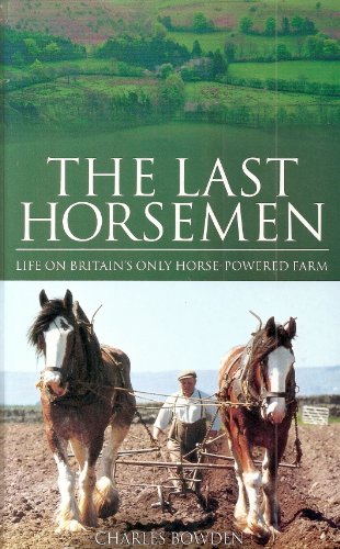 The Last Horsemen