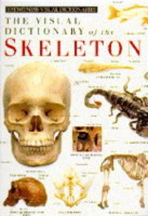 Eyewitness Visual Dictionary: 17 Skeleton