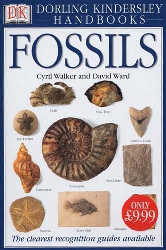 Fossils