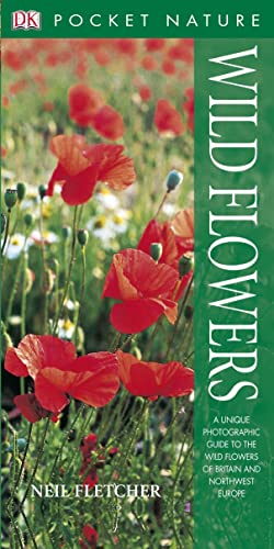 Wild Flowers