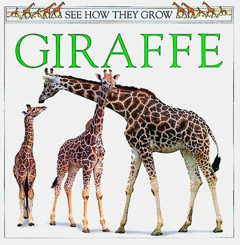 See How They Grow: 16 Giraffe