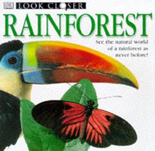 Rainforest