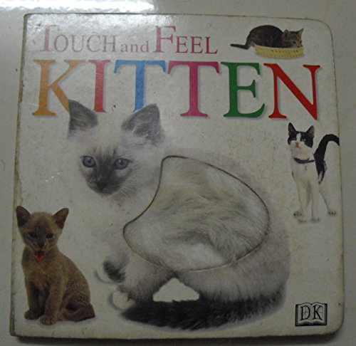 Kitten