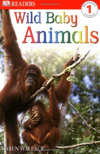 DK READERS LEVEL 1: WILD BABY ANIMALS 1st Edition - Paper