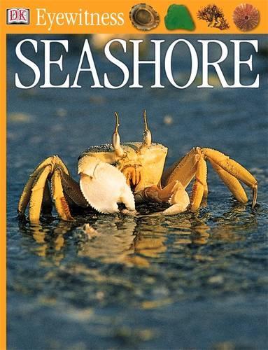 Seashore