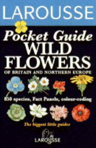 Wild Flowers