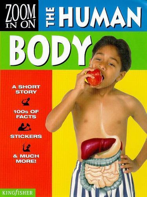 Human Body