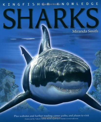 Kingfisher Knowledge Sharks