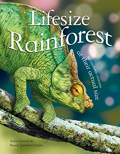 Lifesize Rainforest