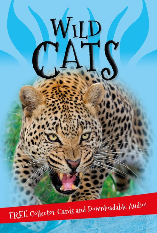 It's all about... Wild Cats