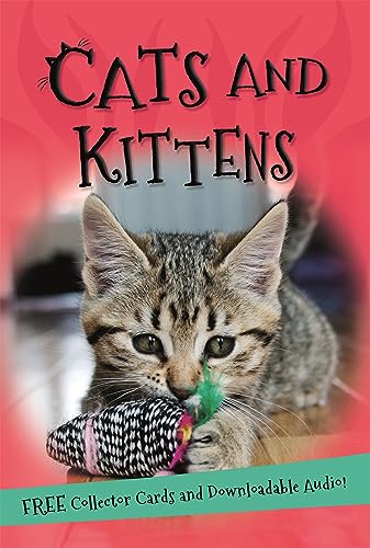 It's All About... Cats and Kittens