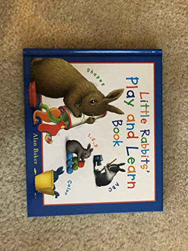 Little Rabbits' Play and Learn Book (Little Rabbit Books)