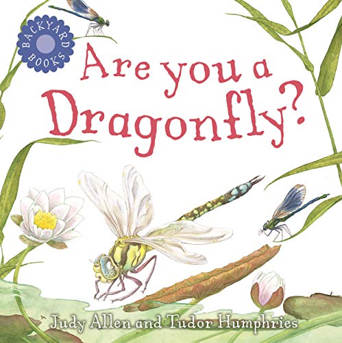 Are You A Dragonfly?