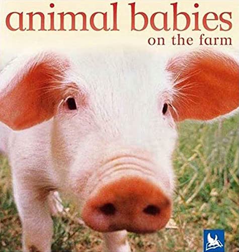 US Animal Babies on the Farm