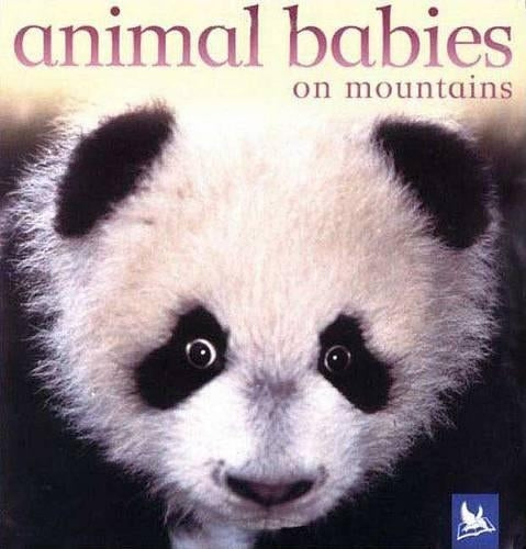 US Animal Babies on Mountains
