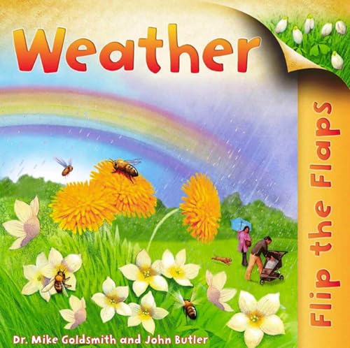 US Flip the Flaps Weather