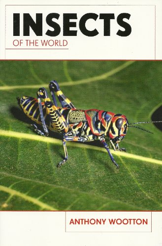 Insects of the World