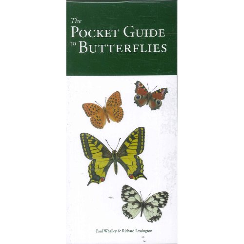 The Pocket Guide to Butterflies