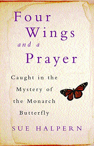 Four Wings and a Prayer
