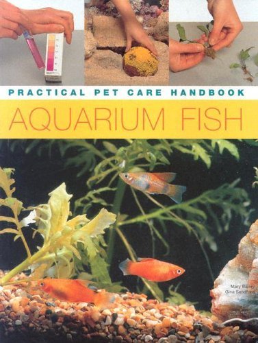 Complete Guide to Aquarium Fish Keeping