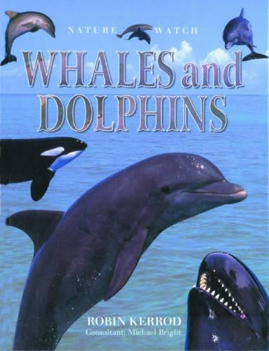 Whales and Dolphins