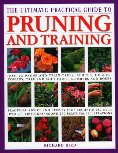 The Ultimate Practical Guide to Pruning and Training