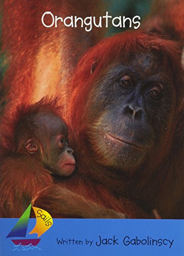 Rus Orangutans- Sails Early 3 N