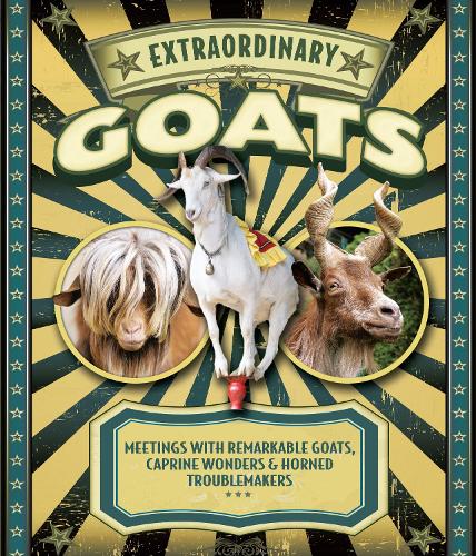 Extraordinary Goats