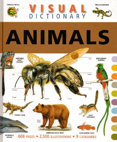 Visual Dictionary
