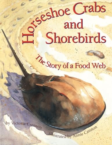 Horseshoe Crabs & Shorebirds: The Story of a Food Web