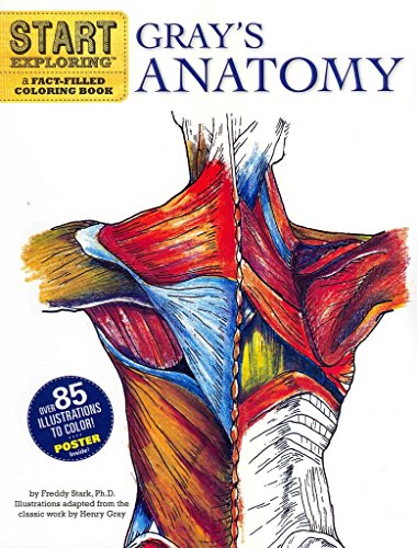 Gray's Anatomy