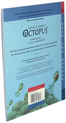 Gentle Giant Octopus