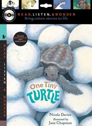 One Tiny Turtle with Audio, Peggable