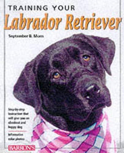 Training Your Labrador Retriever