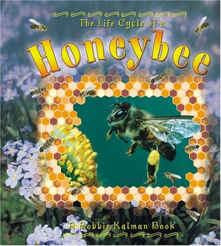 The Life Cycle of the Honeybee