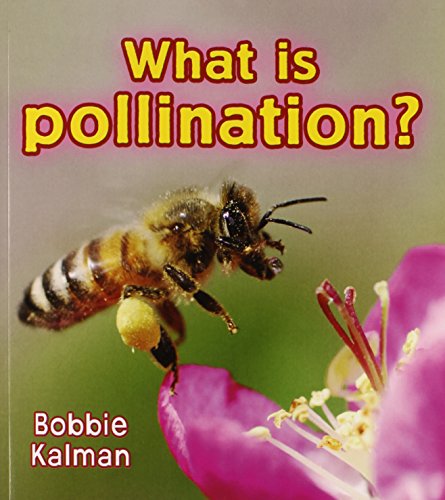 What is pollination?